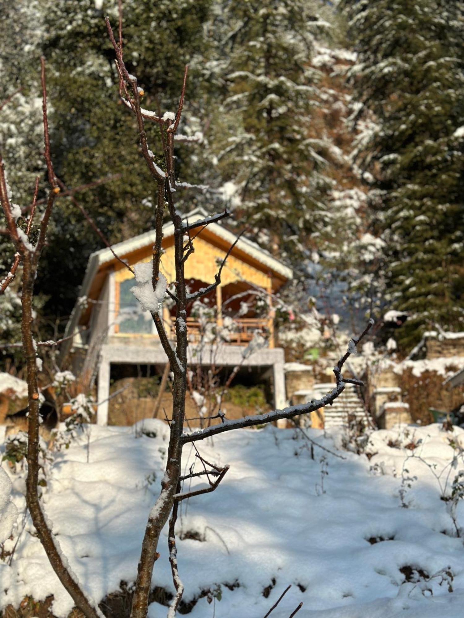Tree House Latos Tandi Hotel Jibhi Bagian luar foto