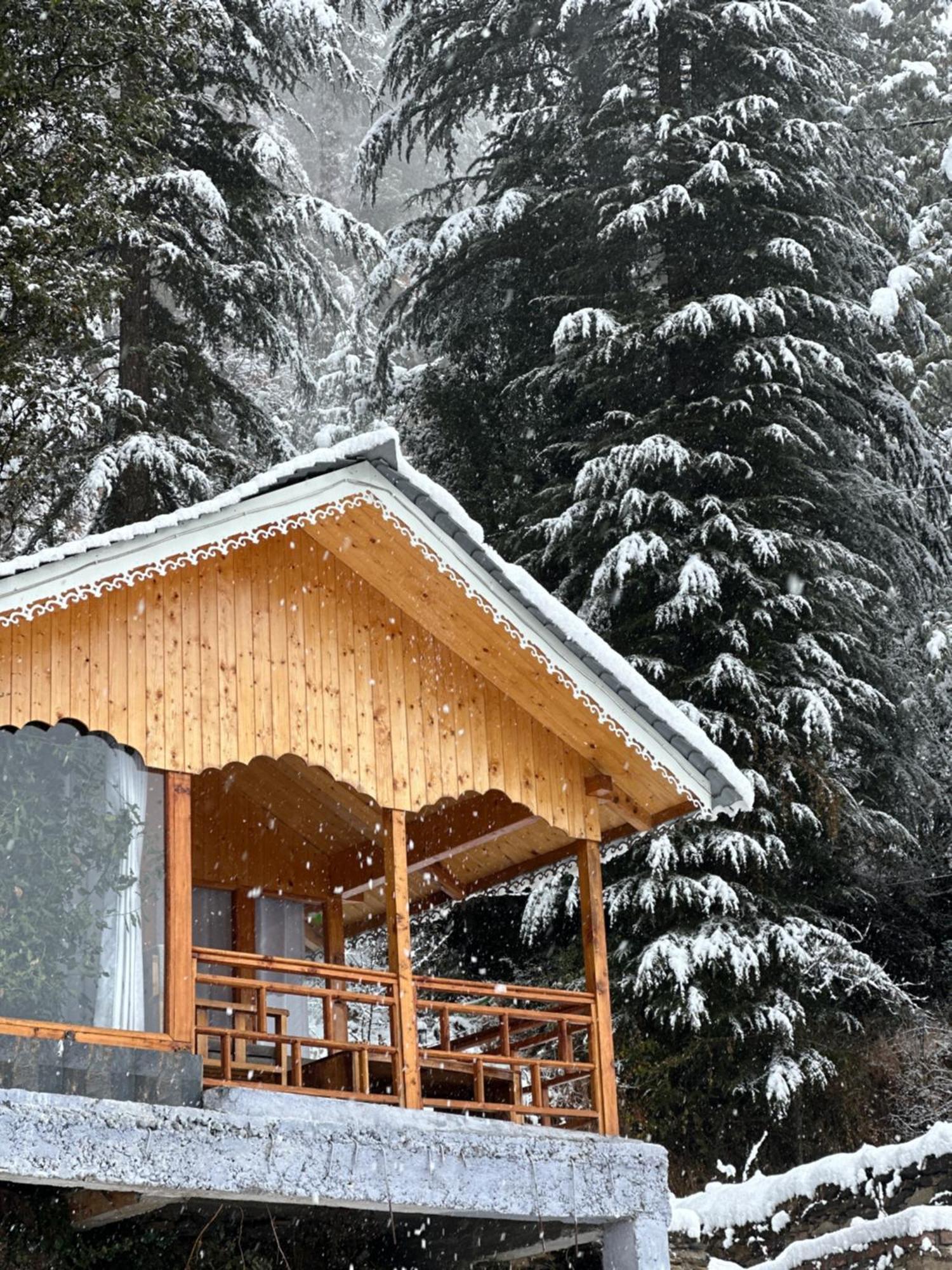 Tree House Latos Tandi Hotel Jibhi Bagian luar foto